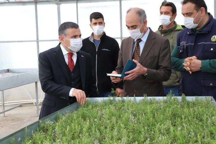 Vali Atay, Fidan şefliğini ziyaret etti G1