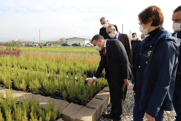 Vali Atay, Fidan şefliğini ziyaret etti G4