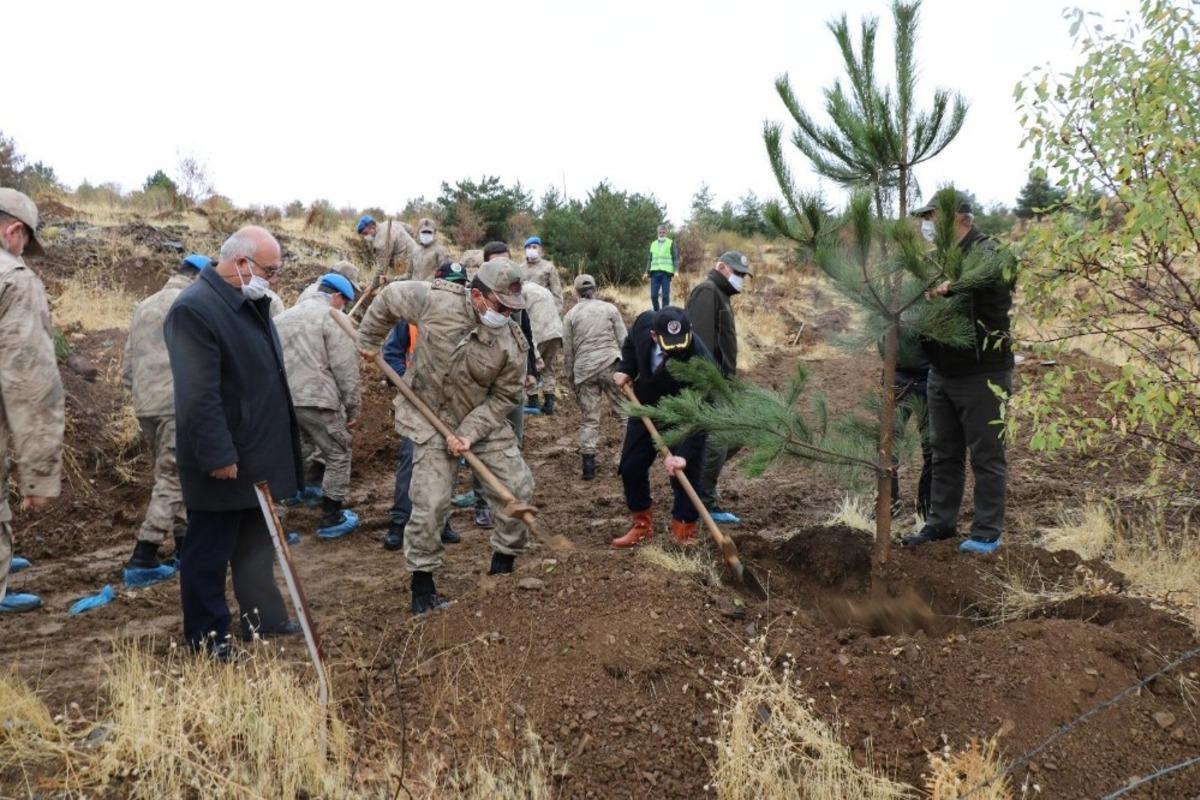 Mehmet&ccedil;ik, şehit ve depremde hayatını kaybedenler i&ccedil;in bin fidan dikti