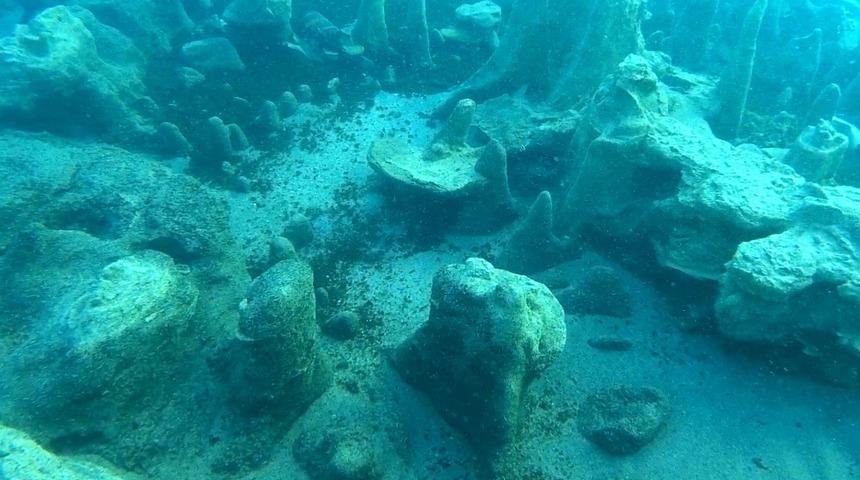 Van Gölü'nde mikrobiyalit heyecanı! Sular çekilince ortaya çıktı