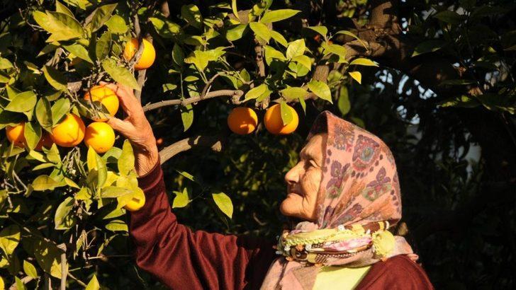 Yenişehir Belediyesi Mükemmeliyet Merkezi kuruyor G4
