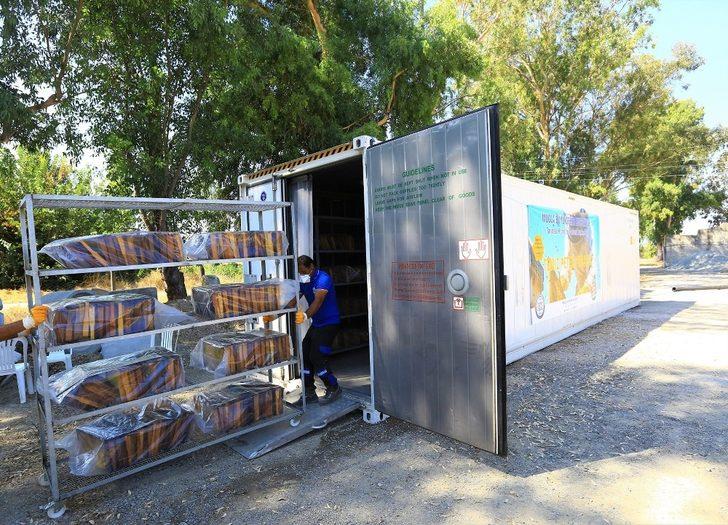 Büyükşehir 50 Bin petek şokladı G1