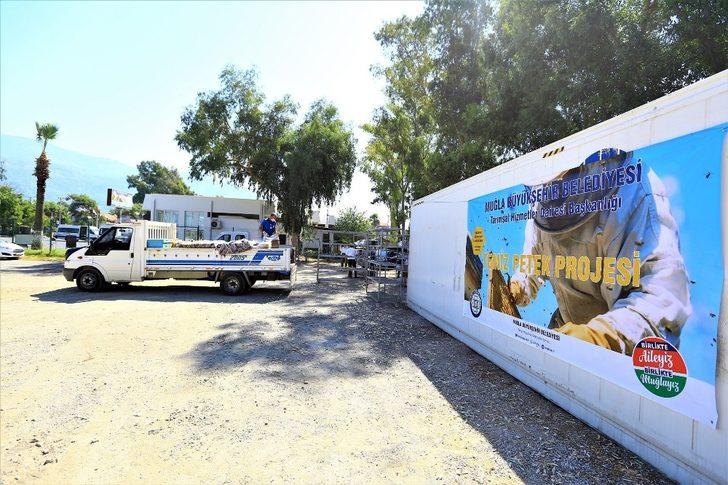 Büyükşehir 50 Bin petek şokladı G3