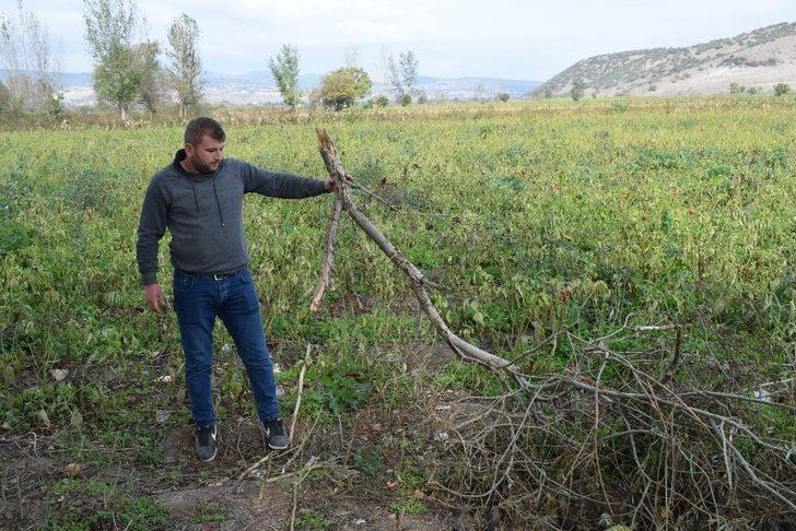3 kadının hayatını kaybettiği yıldırım düşme anını anlattı G3