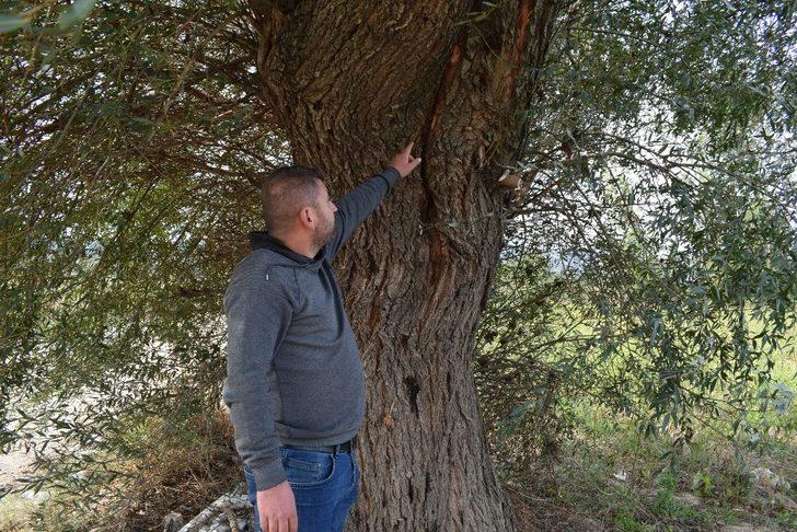 3 kadının hayatını kaybettiği yıldırım düşme anını anlattı G4