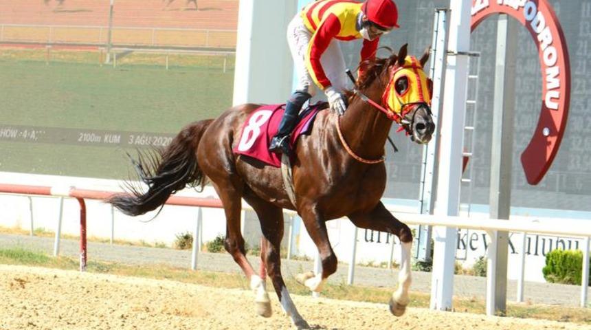 Kırılmaz denilen rekoru kırdı: Gümbürgümbür