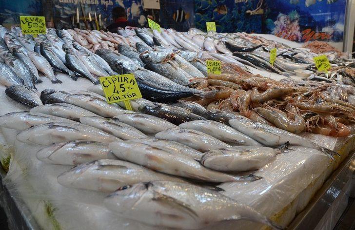 Kuşadası’nda balık bereketi yaşanıyor G3