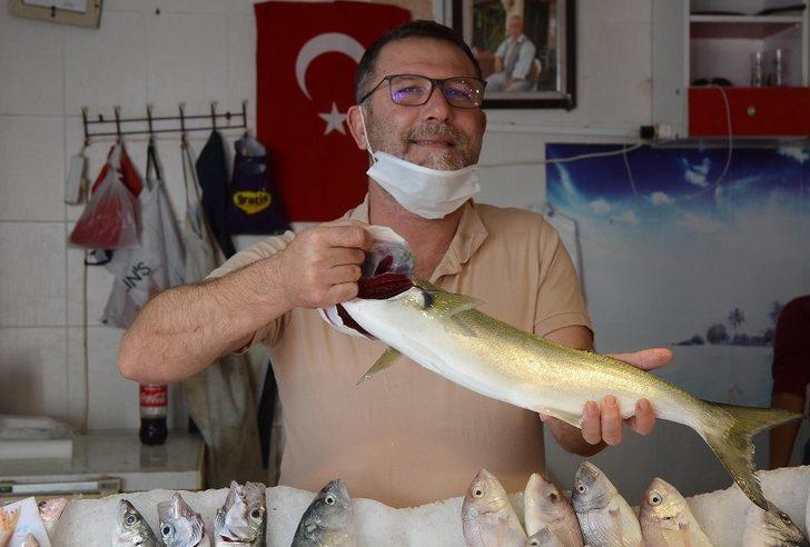 Kuşadası’nda balık bereketi yaşanıyor G5