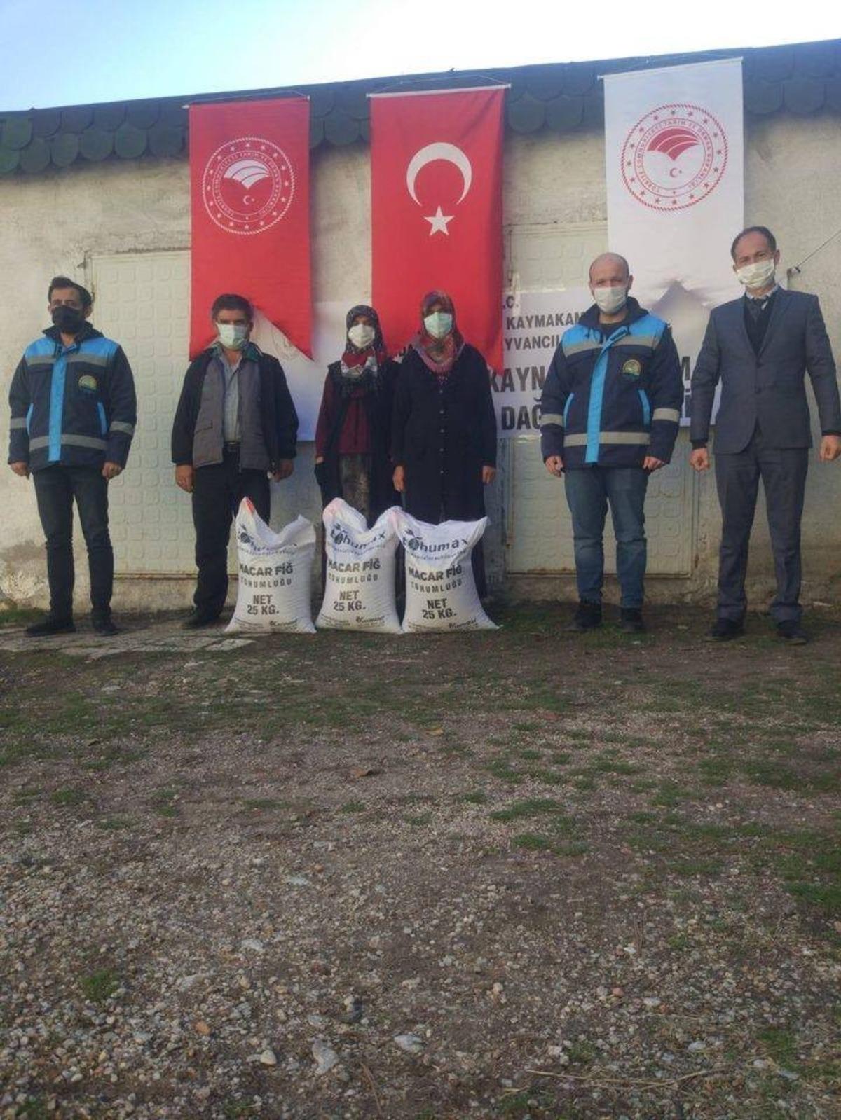 &Ccedil;avdarhisar&rsquo;da 4 bin kilogram &rsquo;&rsquo;Macar Fiği tohumu&rsquo;&rsquo; dağıtıldı