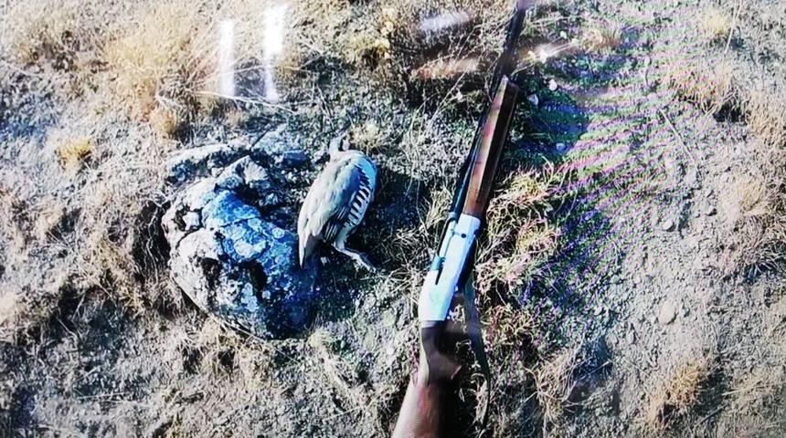 Usuls&uuml;z avlanan şahsa bin 713 lira para cezası kesildi