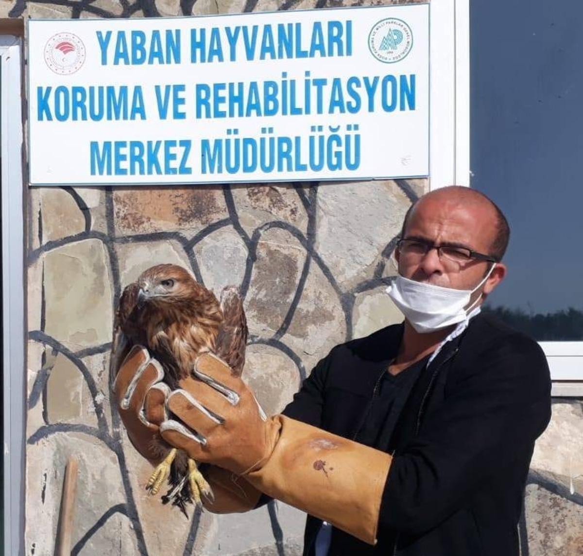 Yaralı kuşlar tedavi altına alındı