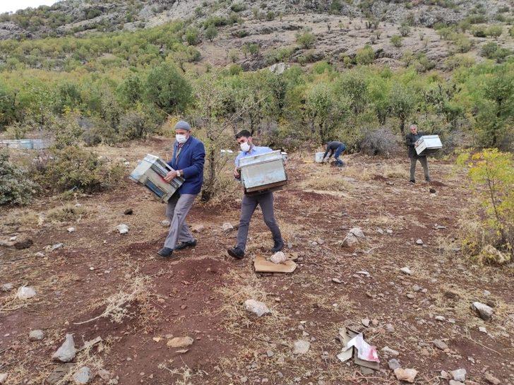 Batman’da çalınan arı kovanları bulunarak sahiplerine teslim edildi G1