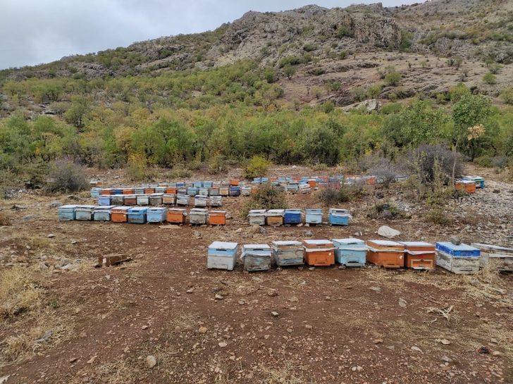 Batman’da çalınan arı kovanları bulunarak sahiplerine teslim edildi G4