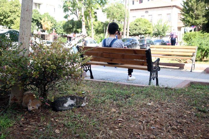 Çamlıbel Aşıklar Parkı yenileniyor G2