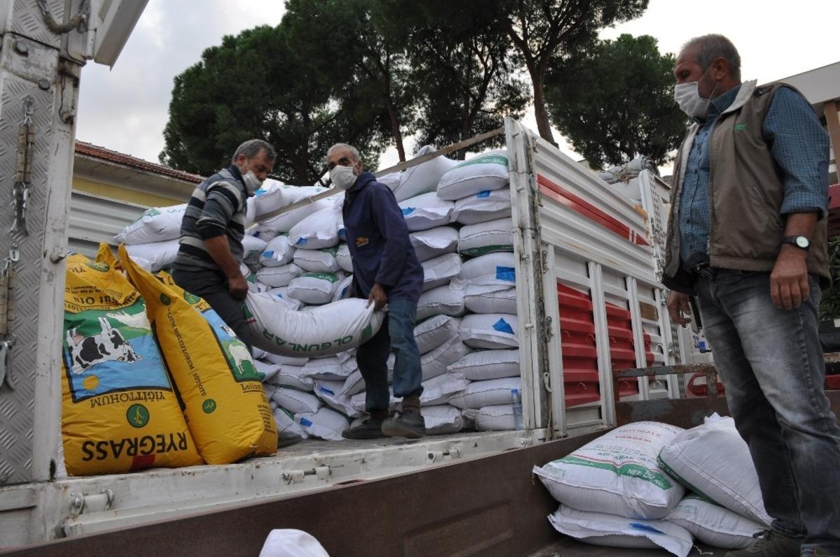 30 &ccedil;ift&ccedil;iye y&uuml;zde 75&rsquo;i hibe destekli yem bitkisi dağıtıldı