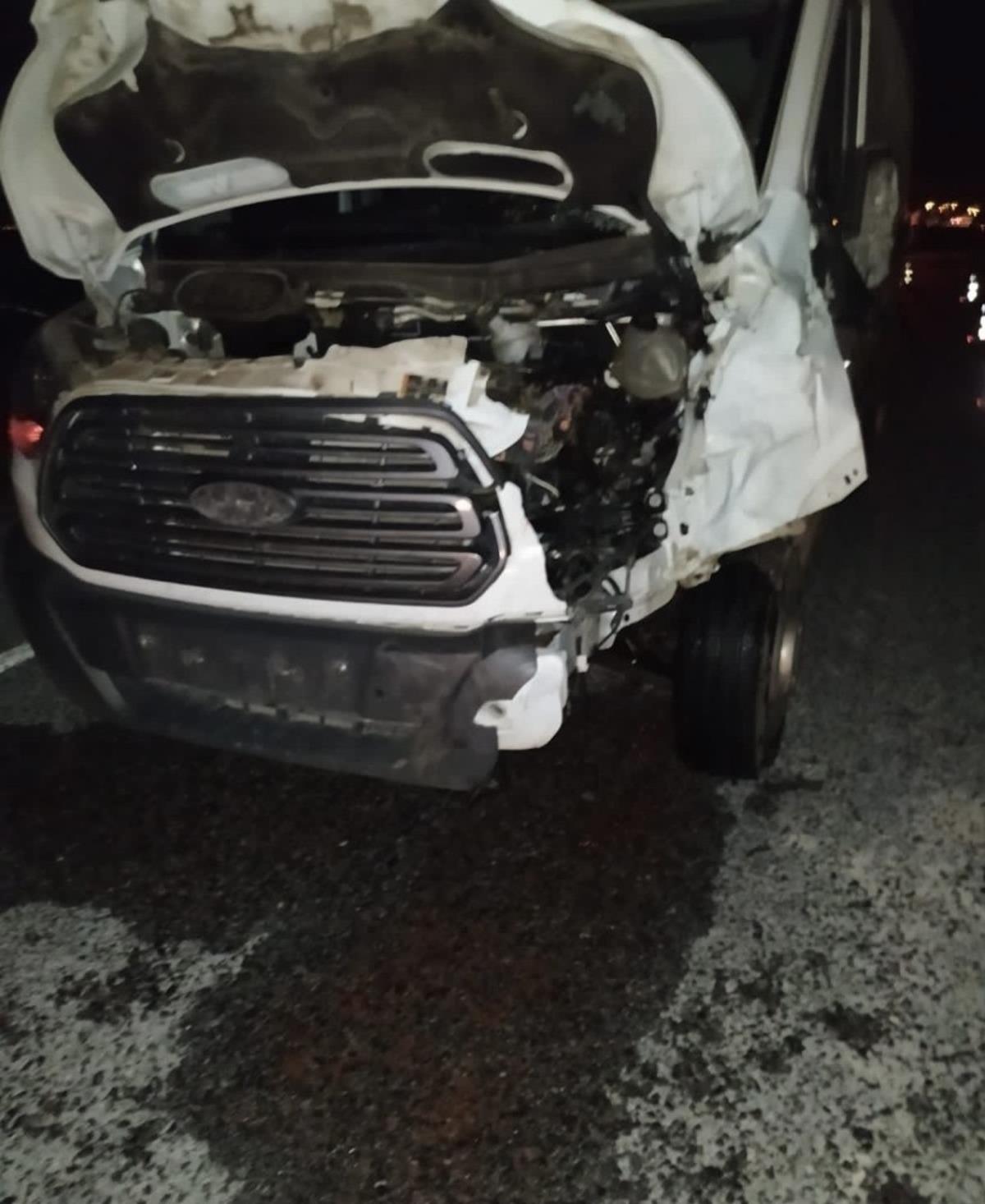 Kamyonetin &ccedil;arptığı 2 b&uuml;y&uuml;kbaş hayvan telef oldu