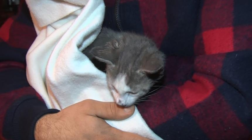 2 kız kardeş, yangından evin kedisi sayesinde kurtuldu