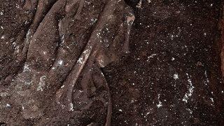 Perre Antik Kenti’nde bin 500 yıllık bozulmamış iskelet bulundu