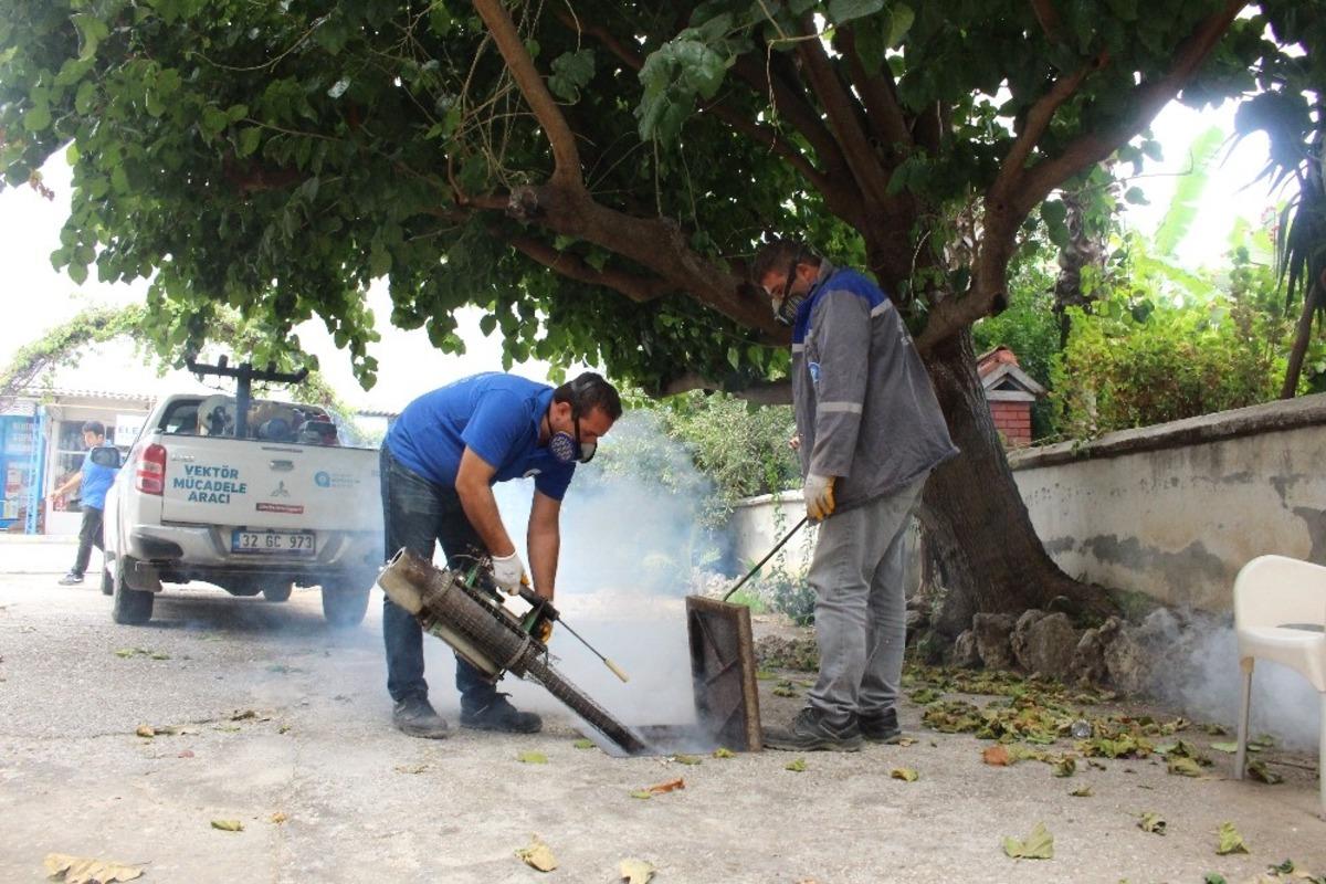 B&uuml;y&uuml;kşehir sinekle m&uuml;cadelede kış mesaisine ge&ccedil;ti