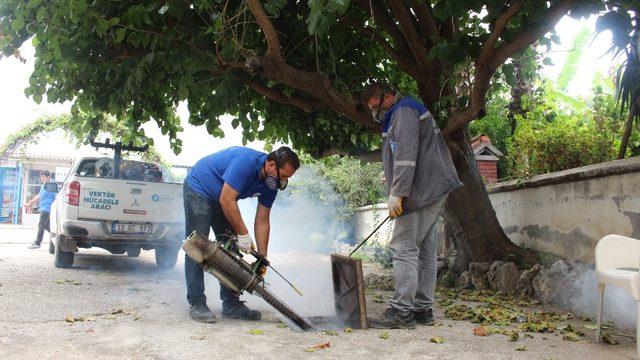 Büyükşehir sinekle mücadelede kış mesaisine geçti