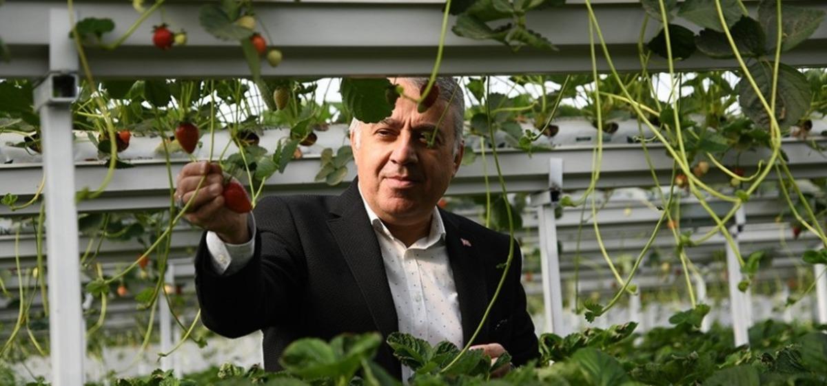 Kayseri &Ccedil;ilek &Uuml;retiminde zirveyi hedefliyor