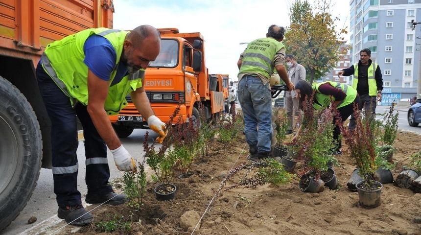 Samsun kış peyzajıyla rengarenk olacak