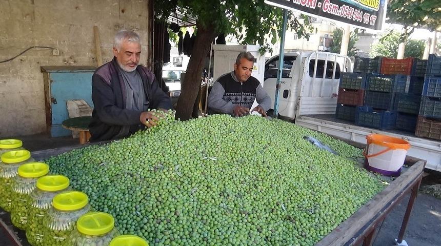 Kilis&rsquo;te yerli sofralık zeytin piyasada