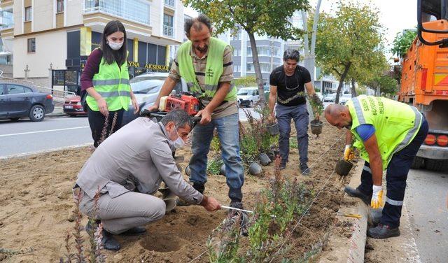 Samsun kış peyzajıyla rengarenk olacak