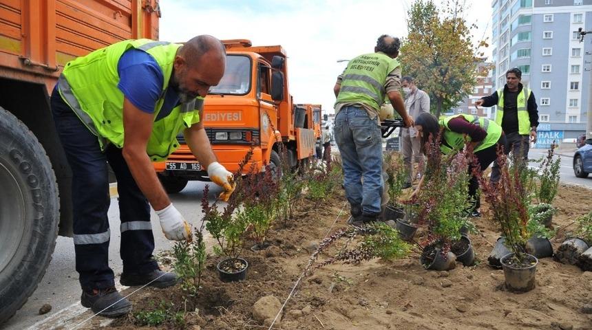 Samsun kış peyzajıyla rengarenk olacak
