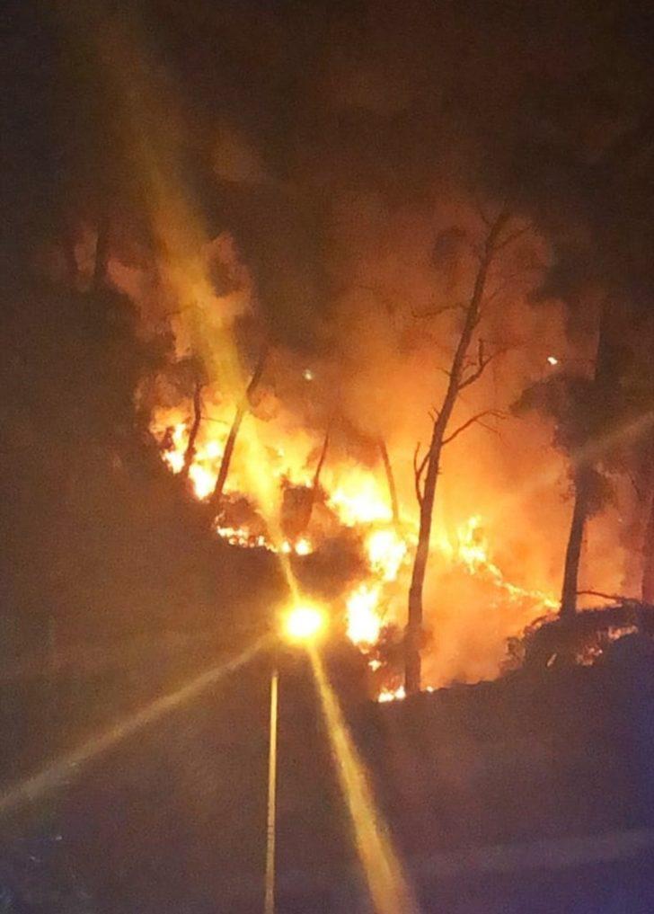 Sakin Kent Akyaka’da orman yangını G4