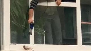 Soğuktan titreyen kumruyu saç kurutma makinesiyle ısıttı