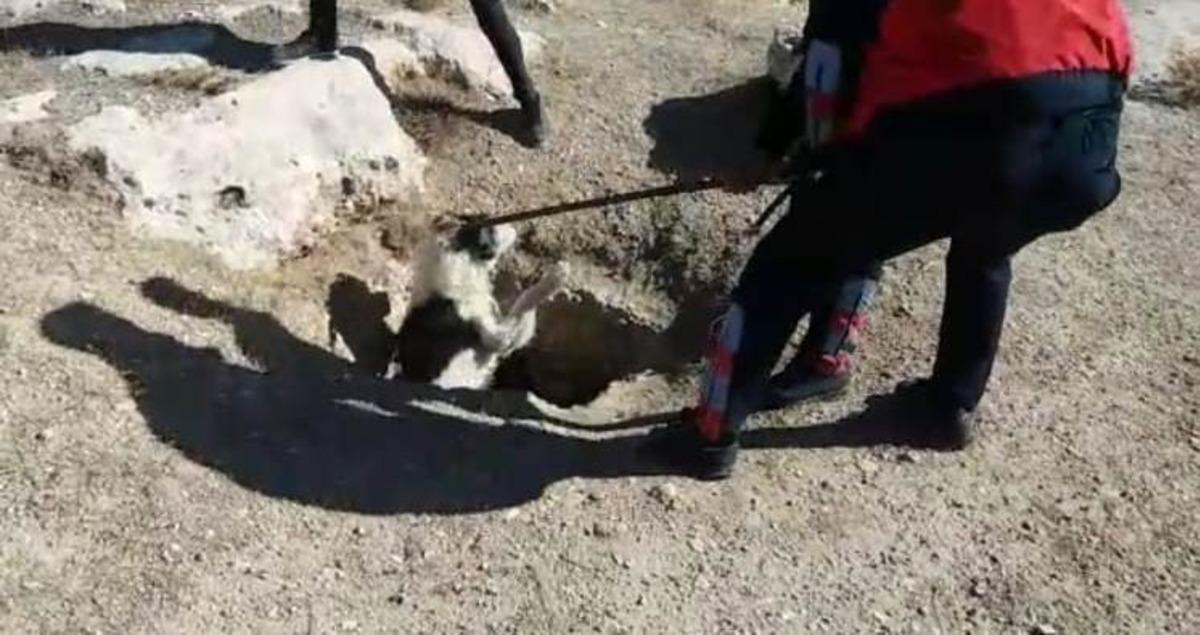 Van&rsquo;da 2 metrelik kuyuya d&uuml;şen k&ouml;pek kurtarıldı