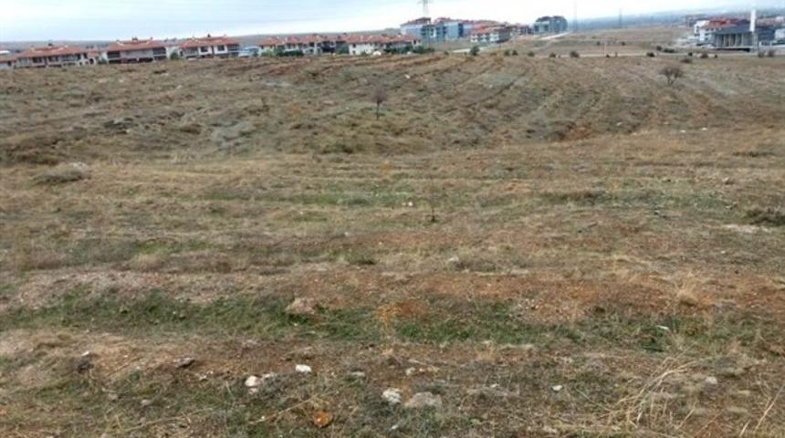 Milli Ağaçlandırma Günü için hazırlıklar tamamlandı