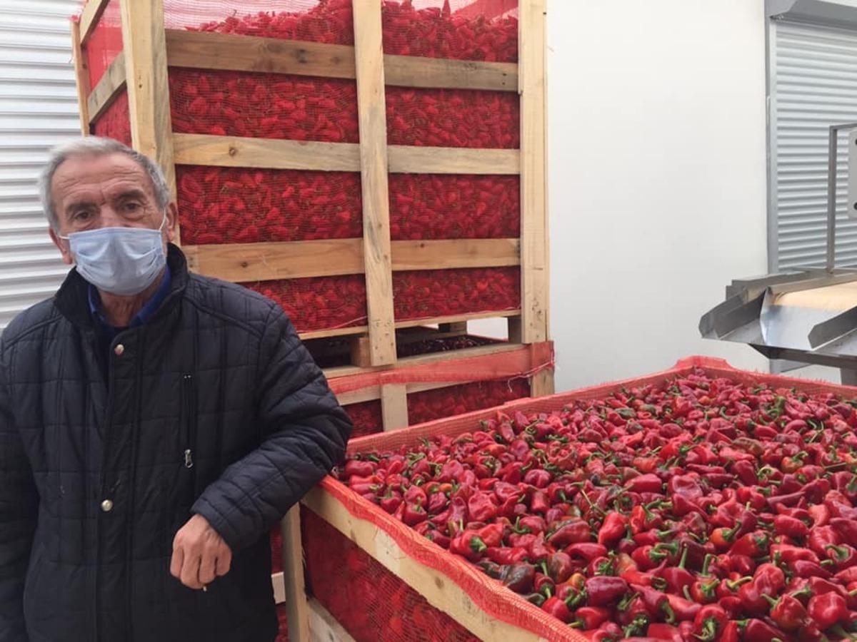 Osmaneli&rsquo;den Makedonya&rsquo;ya acı biber ihracatı başladı