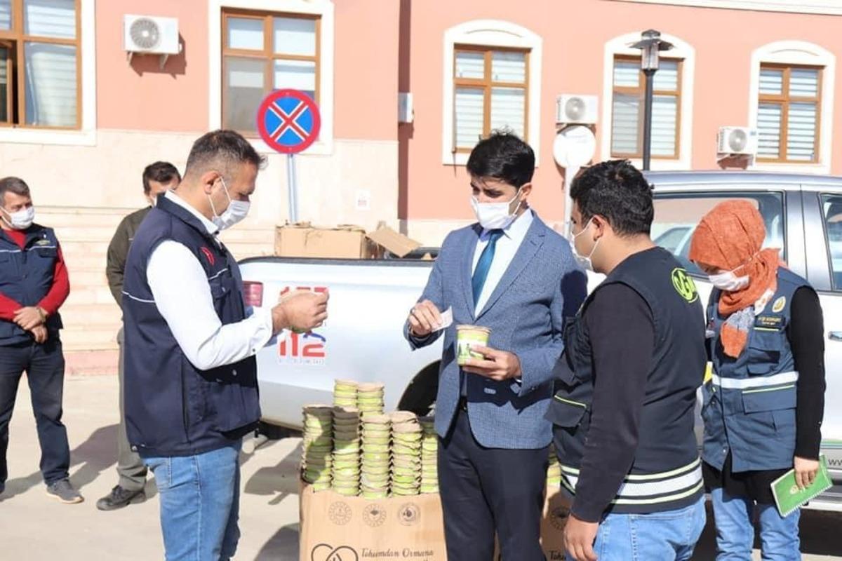 &Ouml;ğrenciler fidanları ormanlar i&ccedil;in b&uuml;y&uuml;tecek