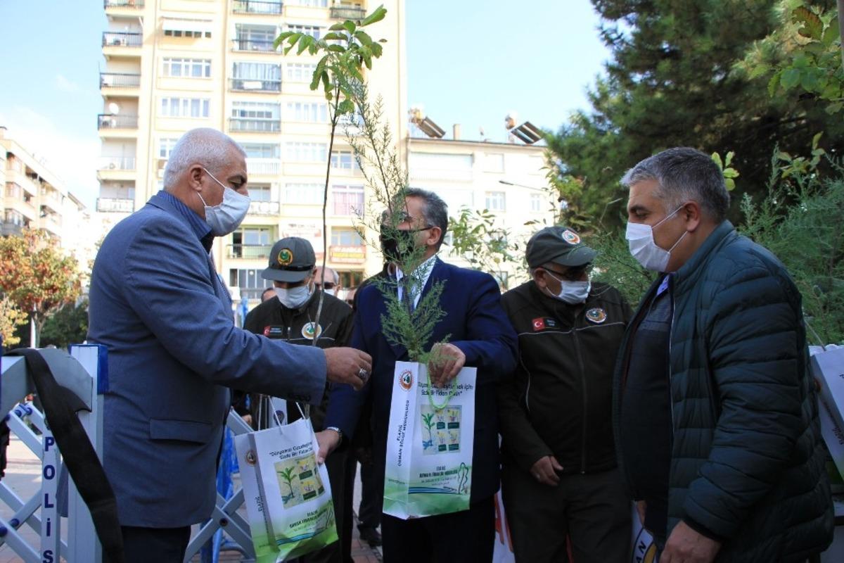 Elazığ&rsquo;da vatandaşlara 10 bin adet &uuml;cretsiz fidan dağıtıldı