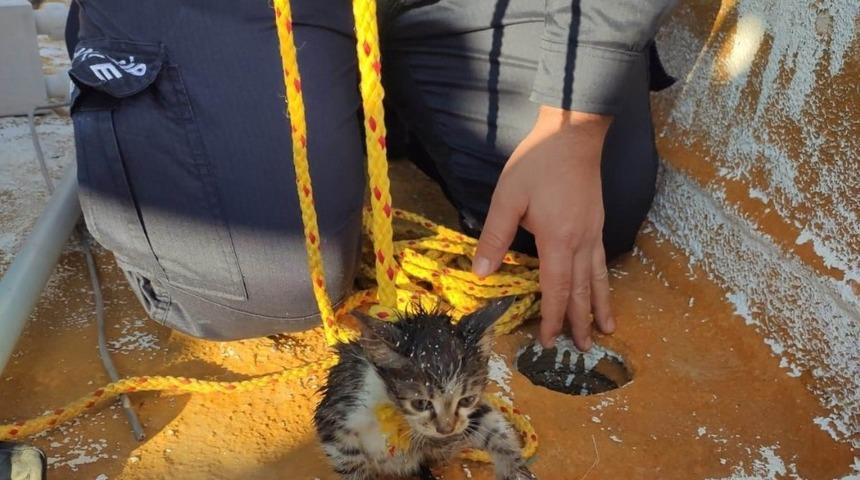 Edremit&rsquo;te gidere d&uuml;şen kediyi itfaiye ekipleri &ouml;zel uğraşla &ccedil;ıkardı