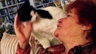 Selda Bağcan'ın kedilerini zehirlediler