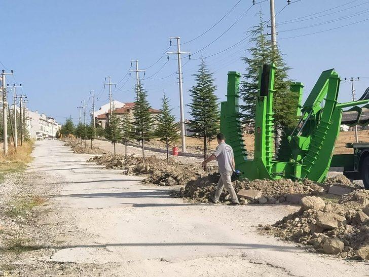Tavşanlı’da mezarlık ve parklara 88 çam fidanı dikildi G4