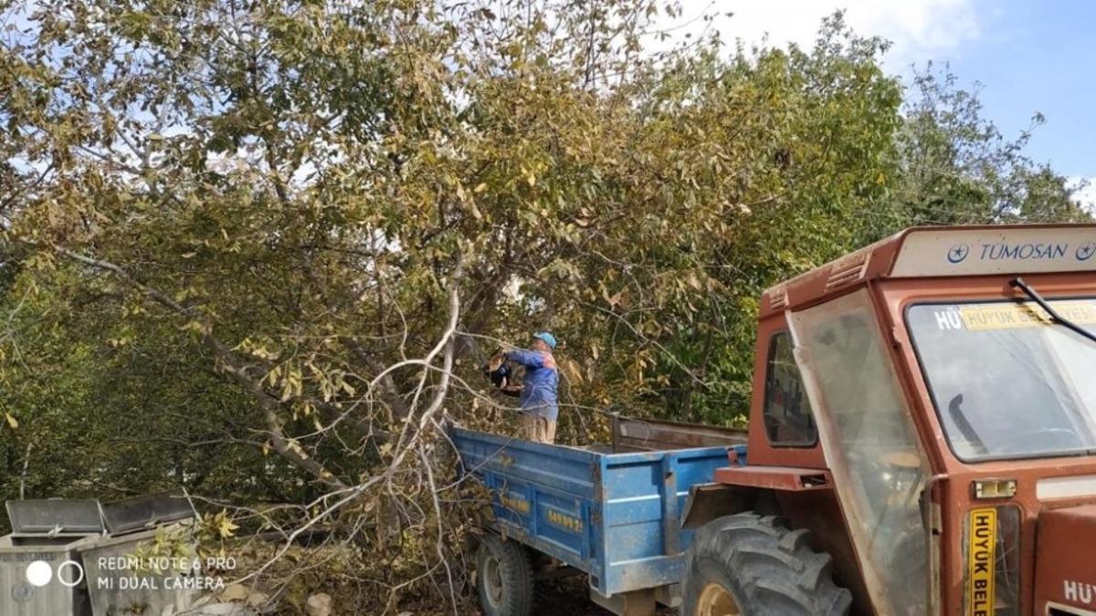 H&uuml;y&uuml;k&rsquo;te s&uuml;r&uuml;c&uuml;lerin g&ouml;r&uuml;ş&uuml;n&uuml; engelleyen ağa&ccedil;lar budanıyor