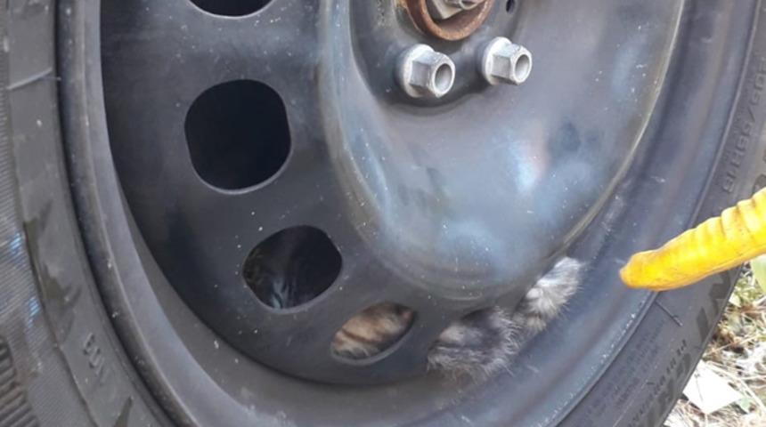 Yer: Sivas! Gelen sesler üzerine ekiplere haber verdiler, gözlerine inanamadılar