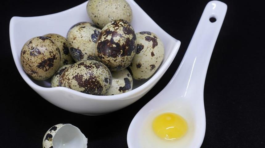 Bıldırcın yumurtası nasıl yenir? Neye yarar, nasıl tüketilir?