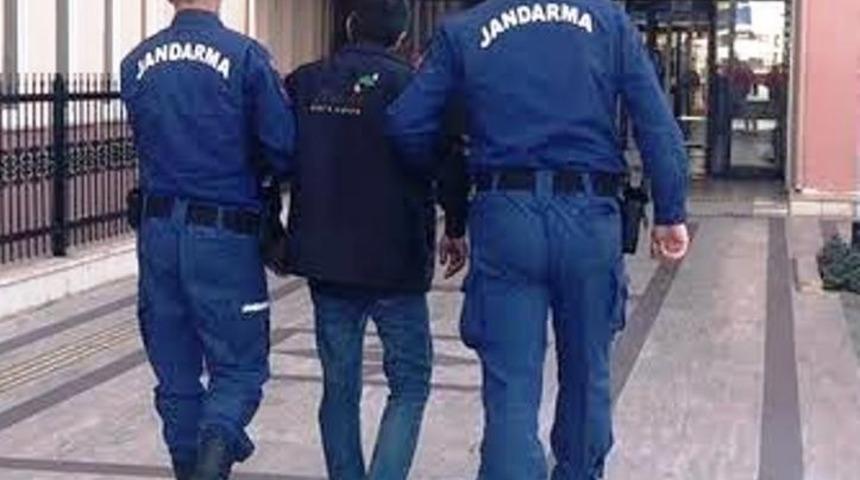 Jandarmadan uyuşturucu operasyonu
