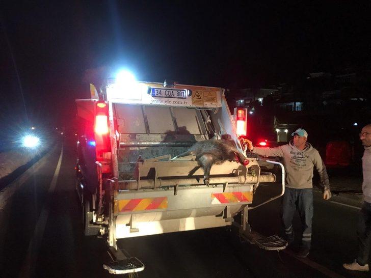 Kuşadası’nda domuza çarpan araç takla attı, 1 yaralı G5