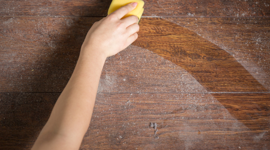 Toz almak hi&ccedil; bu kadar kolay olmamıştı! Başrolde sirke ve...