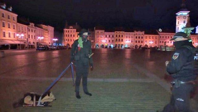 3_a-man-caught-walking-a-toy-dog-via-czech-television-pwdwv