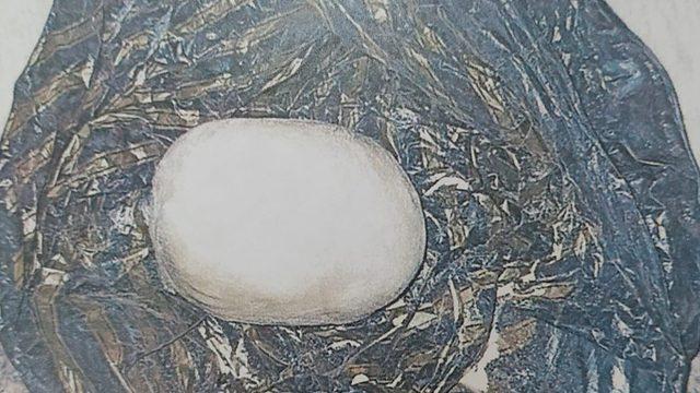 DEAŞ’ın kitabevinden çıkan bomba TNT RDX karışımı