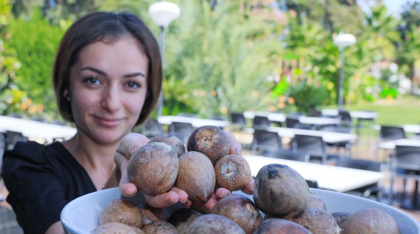 Avokado talebine yetişemeyen üreticiler, çekirdek toplamaya başladı
