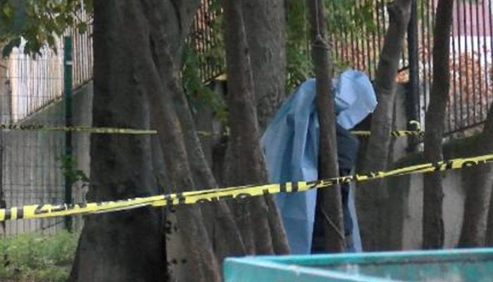 İstanbul'da korkunç olay! Ağaca asılı ceset bulundu