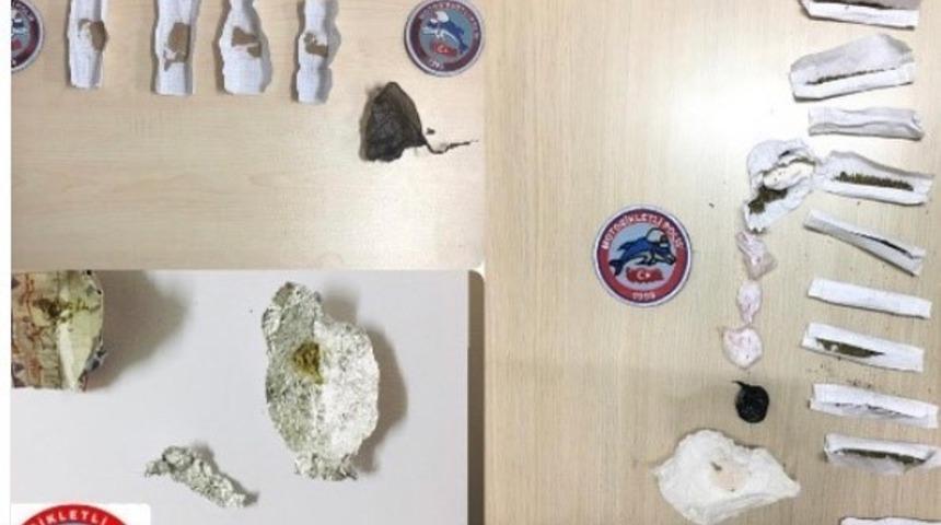 Yunuslar 1 ayda 34 ş&uuml;pheliyi yakaladı